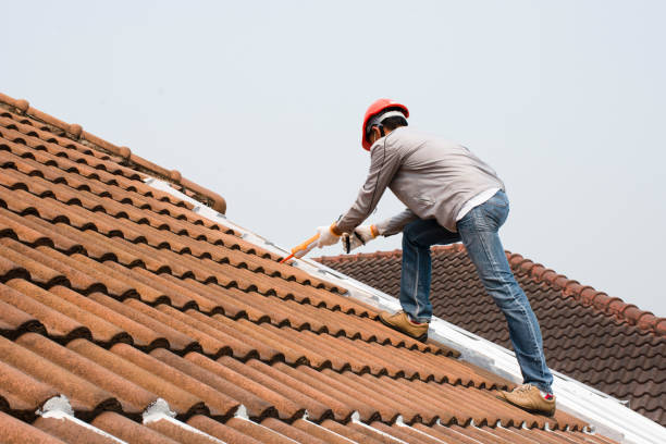 Best Emergency Roof Repair Services  in Anthony, NM